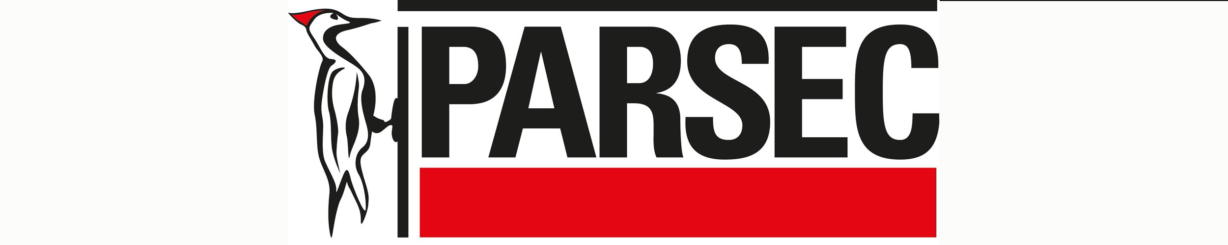 Logo PARSEC S.a.s. di Giudici Ermanno & C.